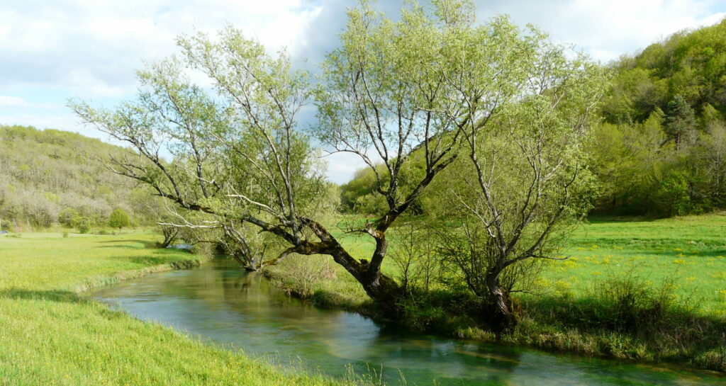 Ruisseau du Doux Coly