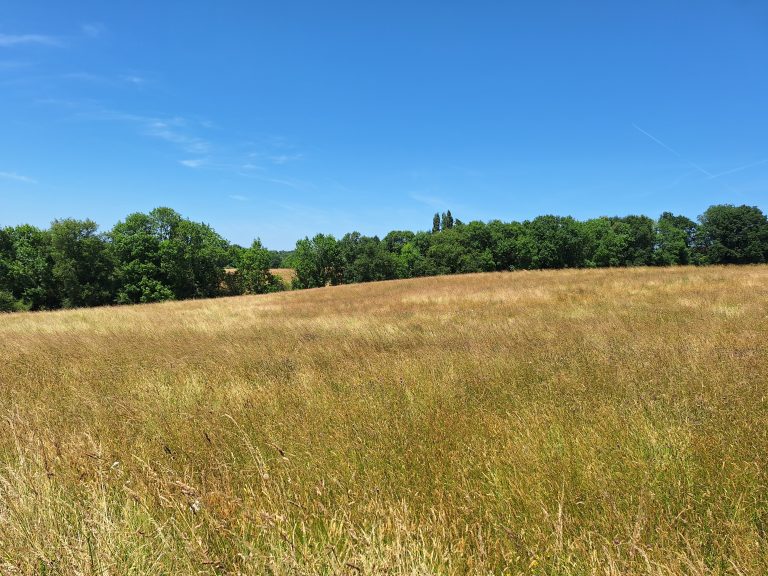 SMDE 24 Achat Mialet